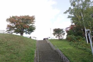 旭山の紅葉2025年10月8日3展望台一本桜と展望台階段