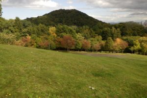 旭山の紅葉2025年10月8日12新桜並木と円山、曇り