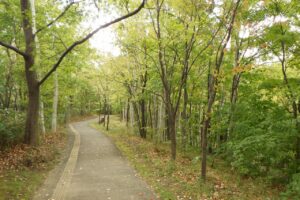 旭山の紅葉2025年10月8日8記念樹の森