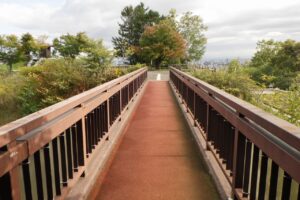 旭山の紅葉2025年10月8日1アーチ橋と展望台一本桜