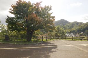 旭山の紅葉2025年10月8日2展望台一本桜と藻岩山