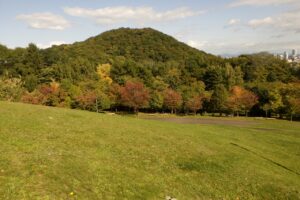 旭山の紅葉2025年10月8日11新桜並木と円山、晴れ