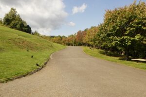 旭山の紅葉2025年10月8日10新桜並木