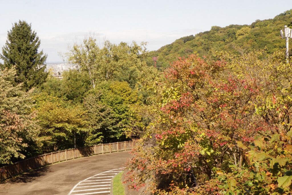 アーチ橋から似た紅葉