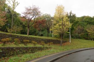 旭山の紅葉2025年10月10日1第2駐車場