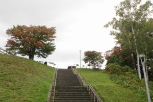 旭山の紅葉2025年10月10日5展望台階段と展望台一本桜