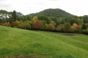 旭山の紅葉2025年10月10日8新桜並木と円山