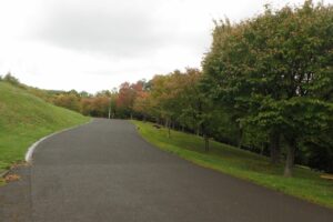 旭山の紅葉2025年10月10日8新桜並木東側から