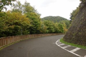 旭山の紅葉2025年10月10日11舗装道路の向こうに円山