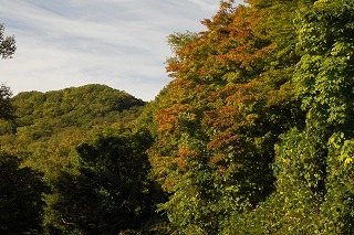 第一駐車場の紅葉