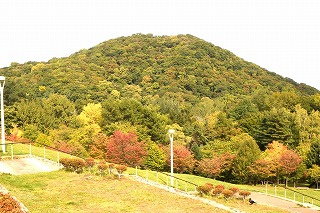 円山と新桜並木