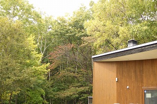 森の家