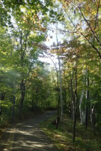 旭山の紅葉2025年10月14日7記念樹の森