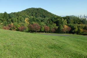 旭山の紅葉2025年10月14日11新桜並木と円山