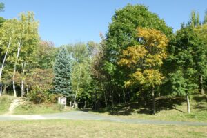 旭山の紅葉2025年10月14日6森の家の周り