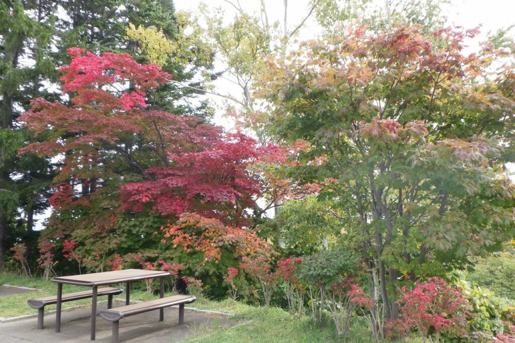 展望台テーブル