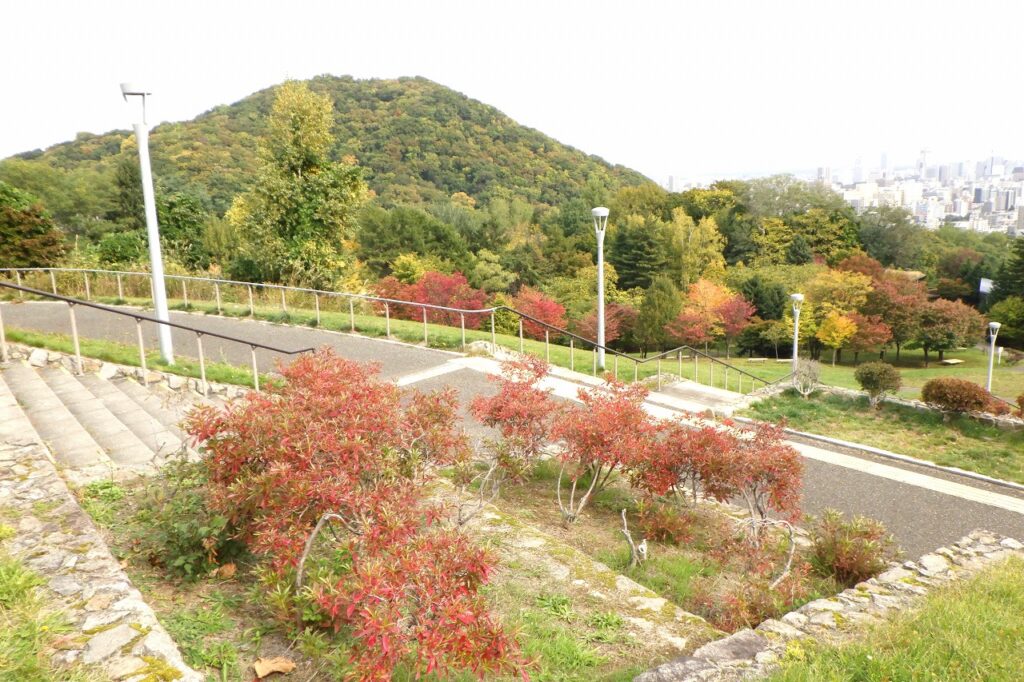 円山と新桜並木