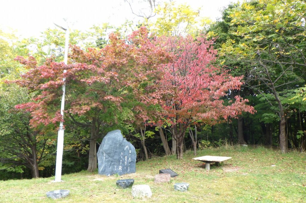 寺田京子句碑」のヤマモミジとエゾヤマザクラ