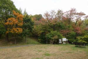 旭山の紅葉2025年10月17日14森の家の周り