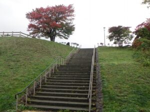 旭山の紅葉2025年10月17日17展望台一本桜と展望台階段