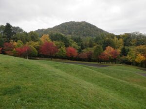 旭山の紅葉2025年10月17日18新桜並木と円山