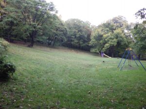 旭山の紅葉2025年10月17日11遊具広場