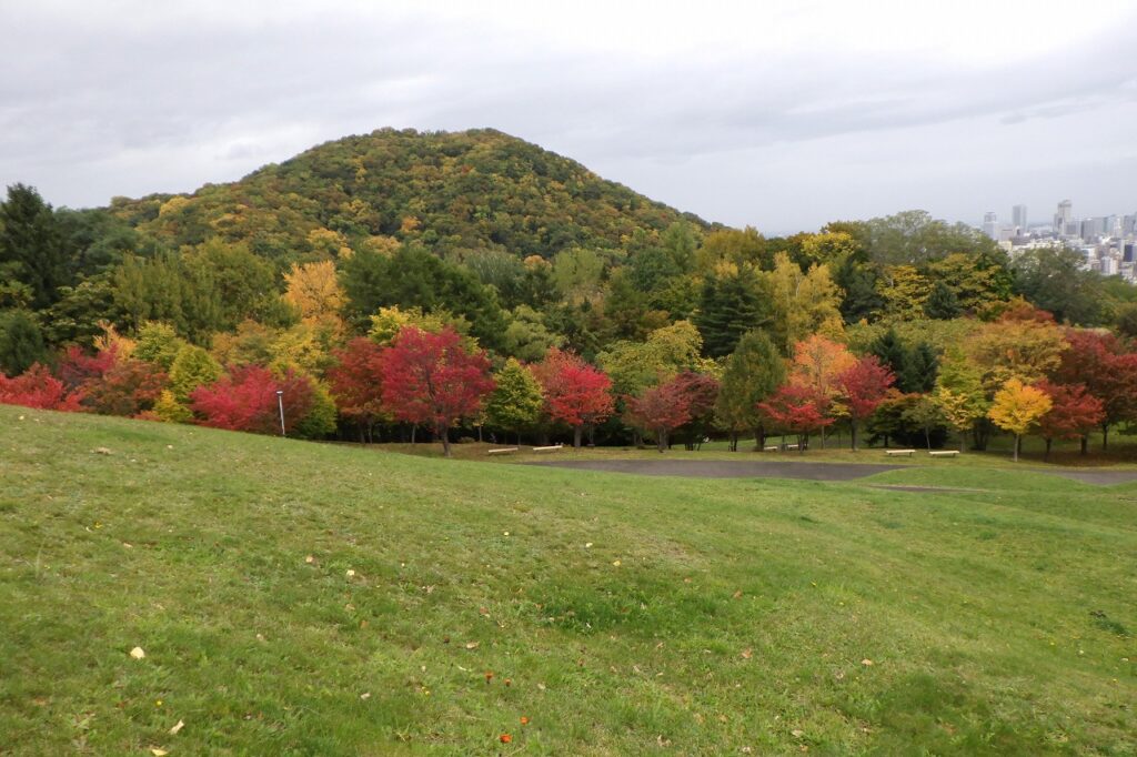 円山と新桜並木