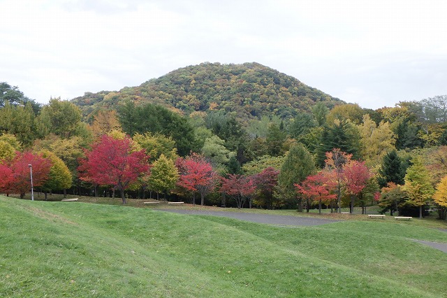 円山と新桜並木