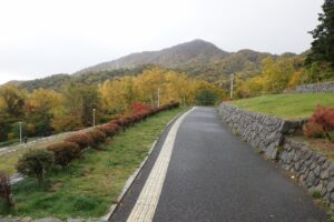 旭山の紅葉2025年10月24日6テラス状階段から藻岩山を望む