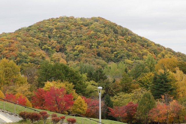 円山と新桜並木