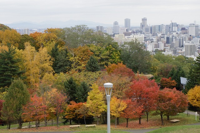 札幌の街並みと紅葉