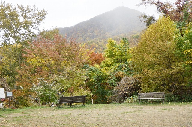 森の家前の藻岩山