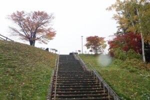 旭山の紅葉2025年10月28日6展望台一本桜と展望台階段