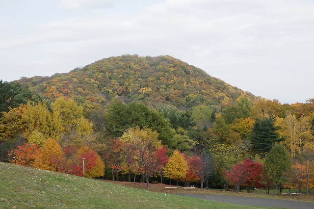 円山と新桜並木