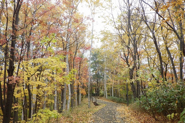 2025年10月31日記念樹の森南側から