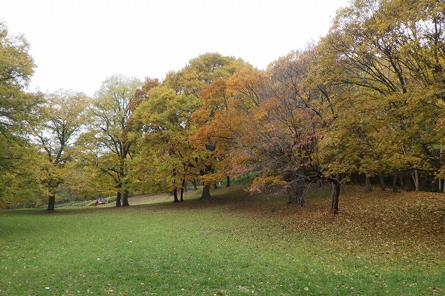 2025年10月31日遊具広場の木々の色づき