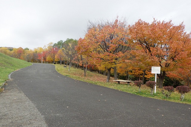 2025年10月31日新桜並木東側から