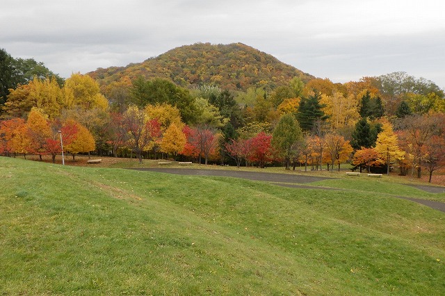 2025年10月31日新桜並木と円山