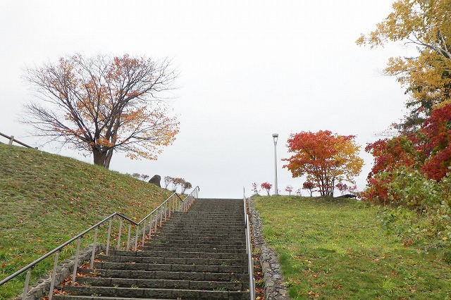 2025年10月31日展望台一本桜と展望台階段