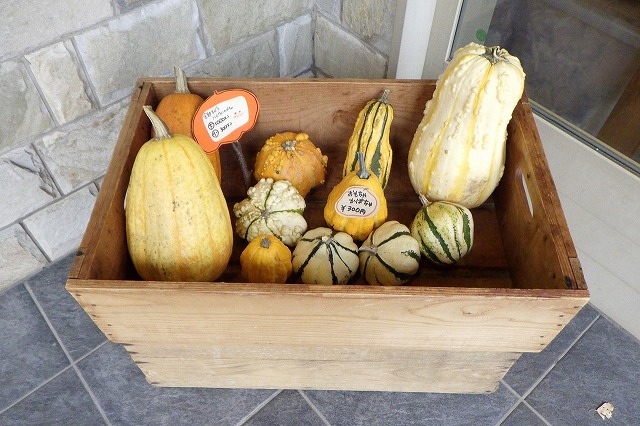 2025年10月31日ハロウィンかぼちゃ