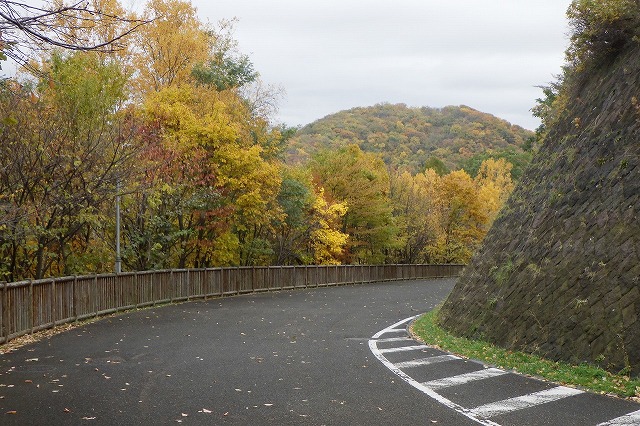 2025年10月31日舗装道路の向こうに円山