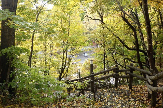 2025年10月29日紅葉の状況 (森の家階段)