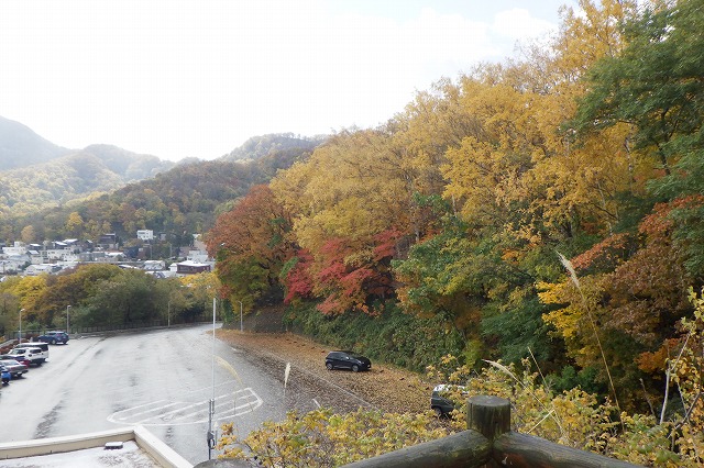 2025年10月29日紅葉の状況 (記念樹の森を展望台から)