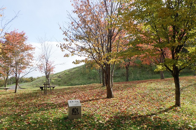 2025年10月23日紅葉の状況(友愛の小径碑)