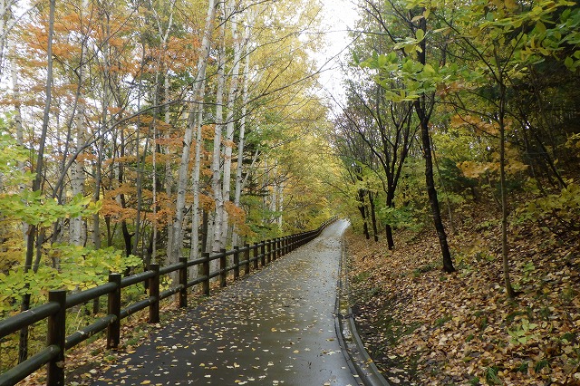 2025年10月29日紅葉の状況 (双子沢坂)