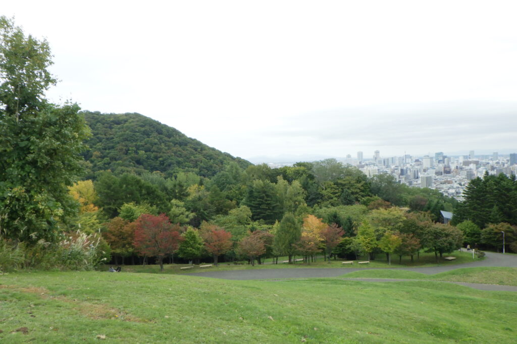 2025年10月12日紅葉の状況（新桜並木と円山）