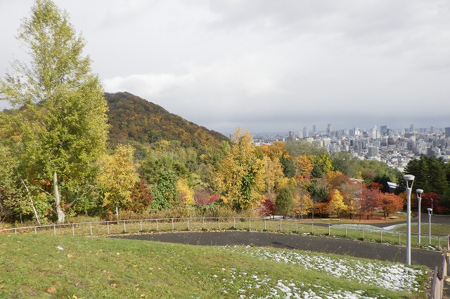 2025年10月29日紅葉の状況 (新桜並木と円山)