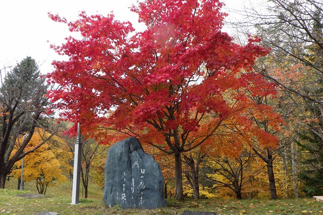 2025年11月2日紅葉の状況 (寺田京子句碑近く)