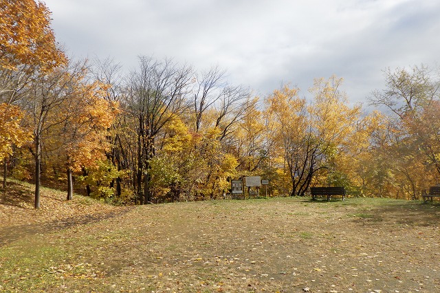 2025年11月2日紅葉の状況 (森の家前)