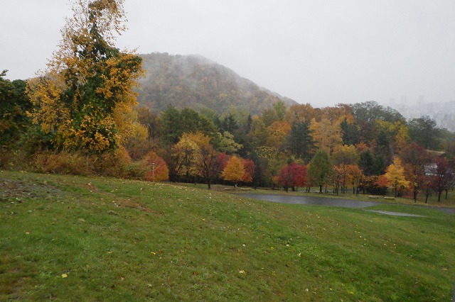 2025年11月1日新桜並木と円山